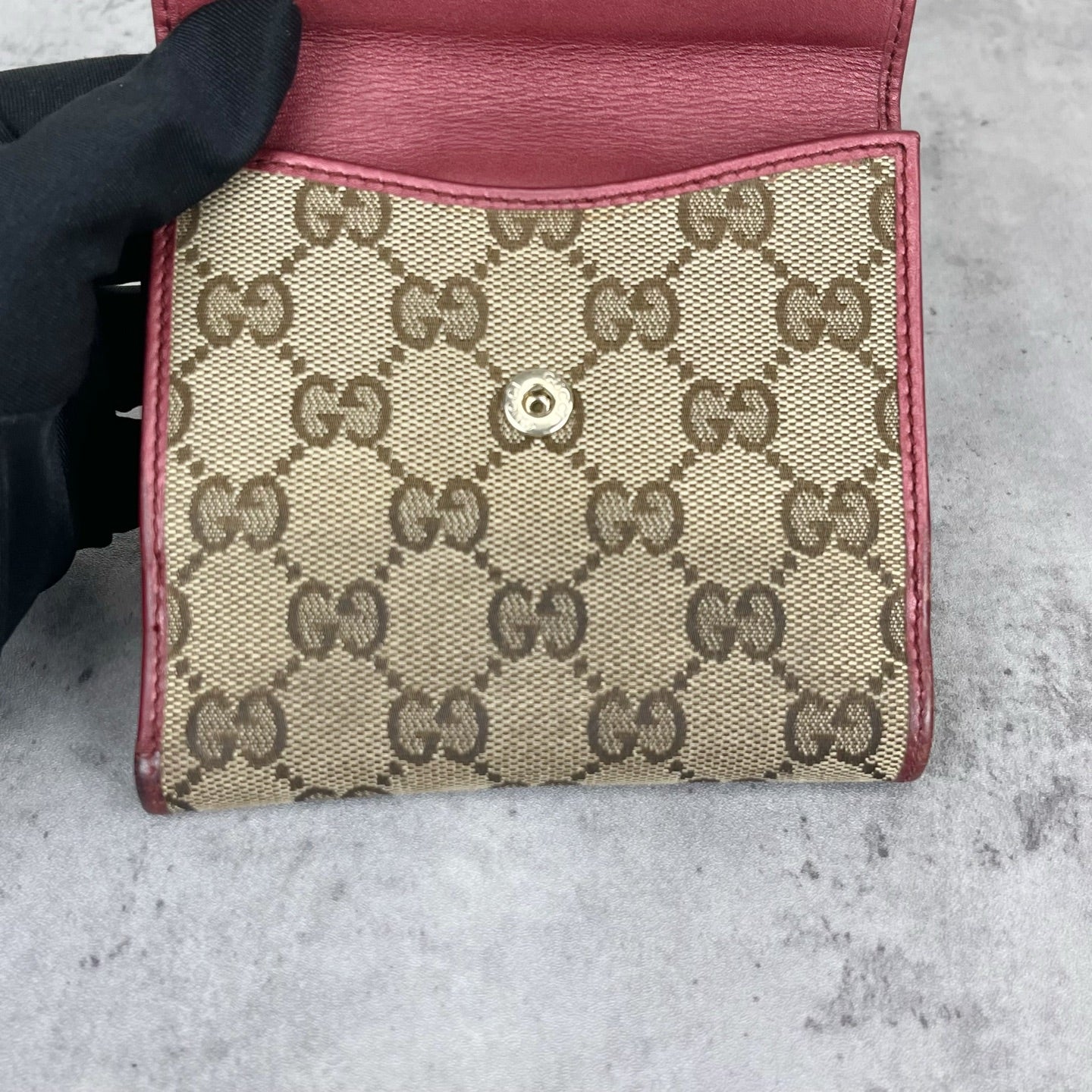 Gucci Canvas