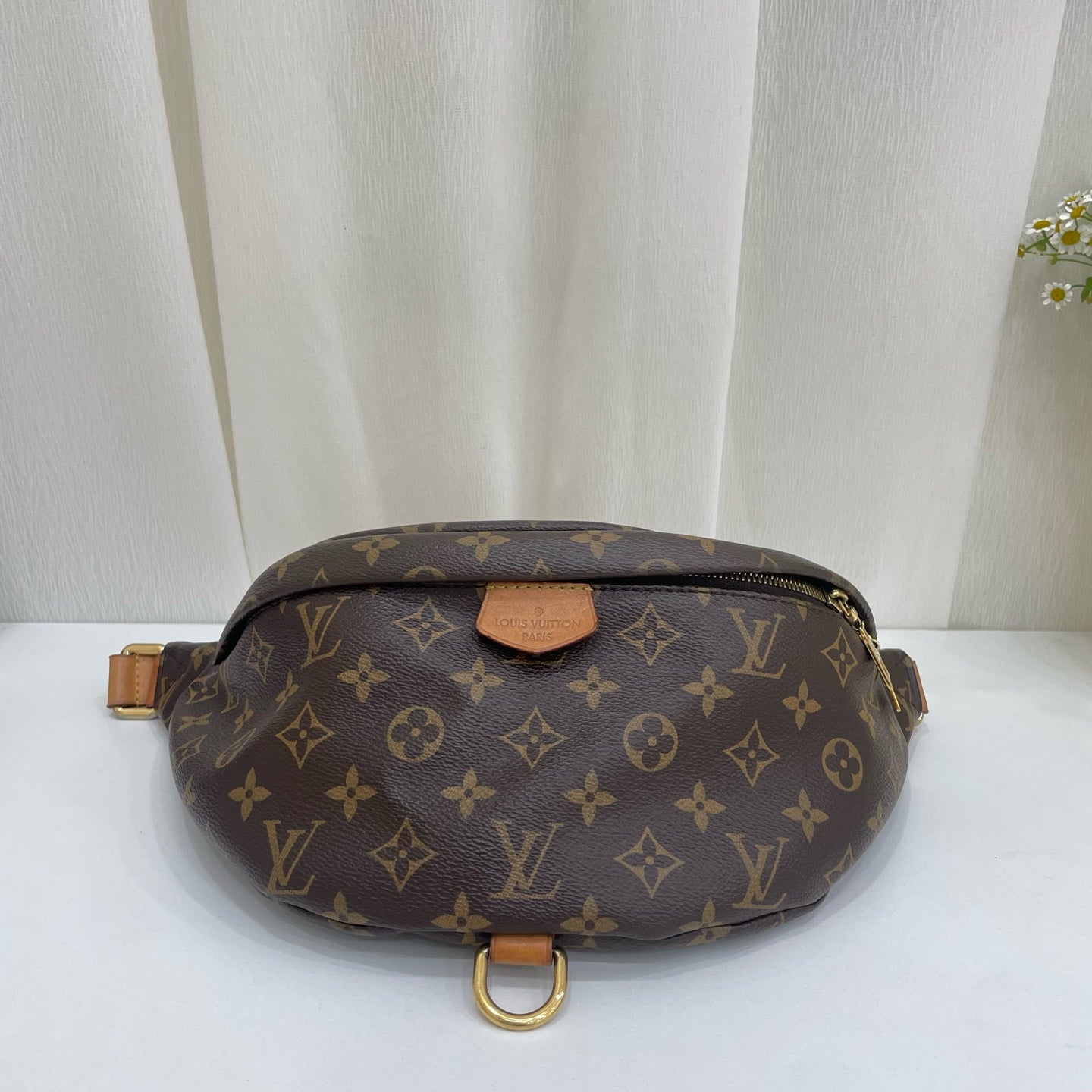 Louis Vuitton Belt Bag & Fanny Pack