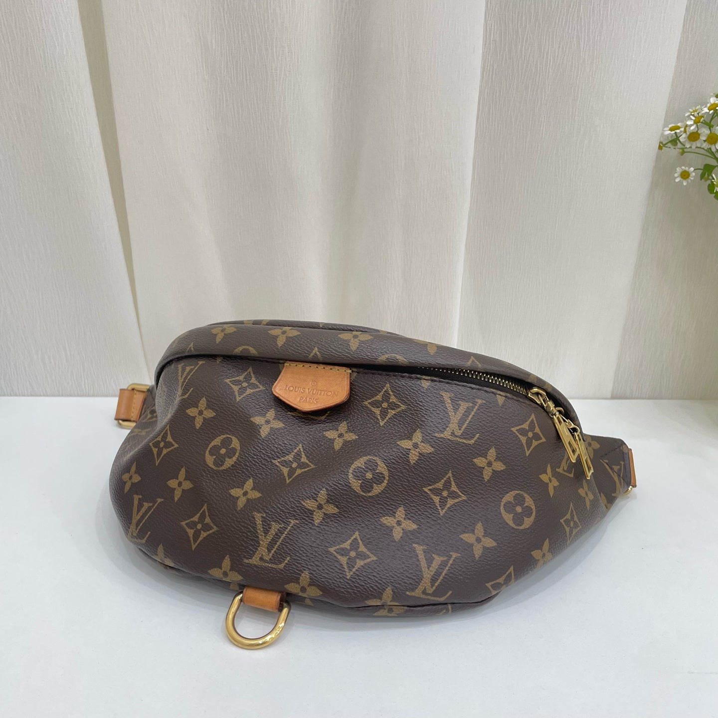 Louis Vuitton Belt Bag & Fanny Pack