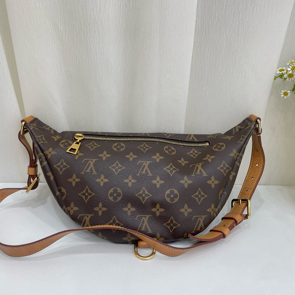 Louis Vuitton Belt Bag & Fanny Pack