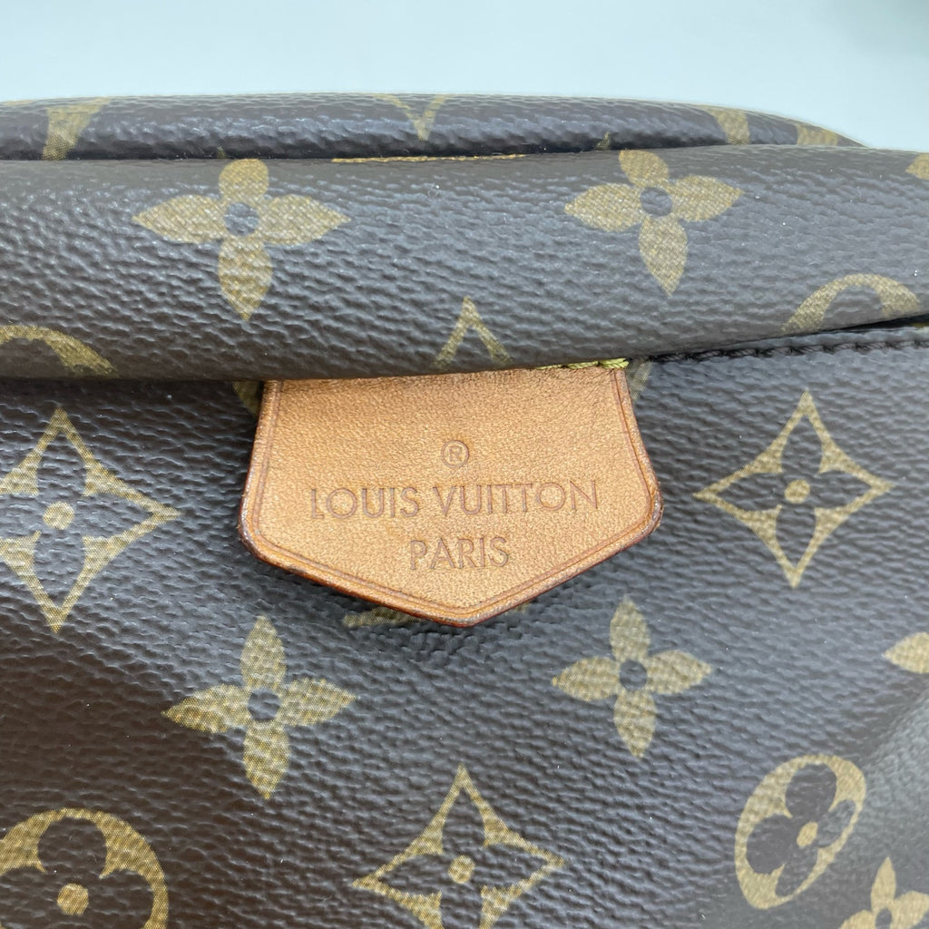 Louis Vuitton Belt Bag & Fanny Pack