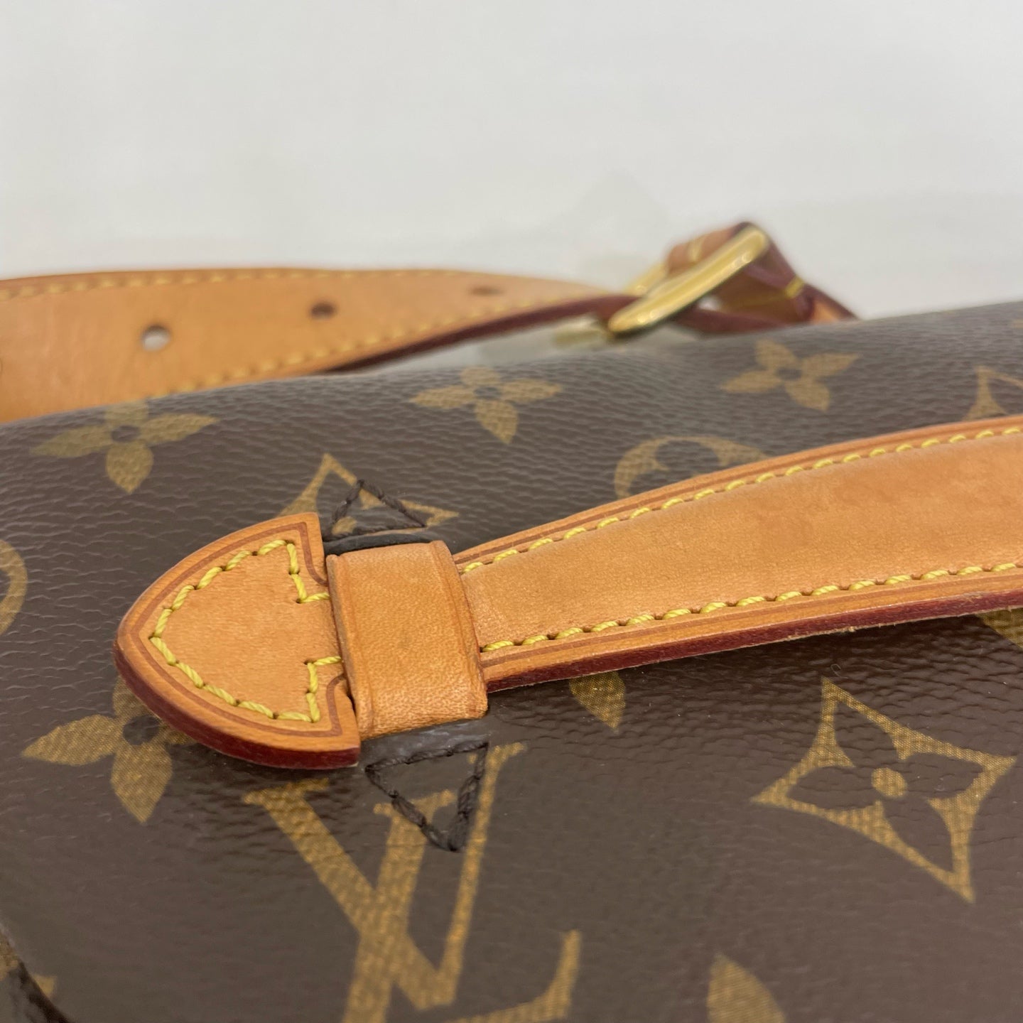 Louis Vuitton Belt Bag & Fanny Pack