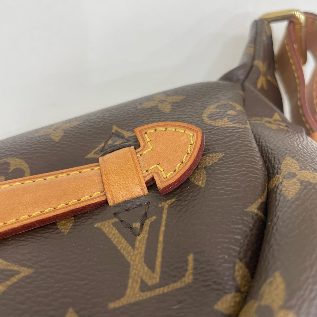 Louis Vuitton Belt Bag & Fanny Pack
