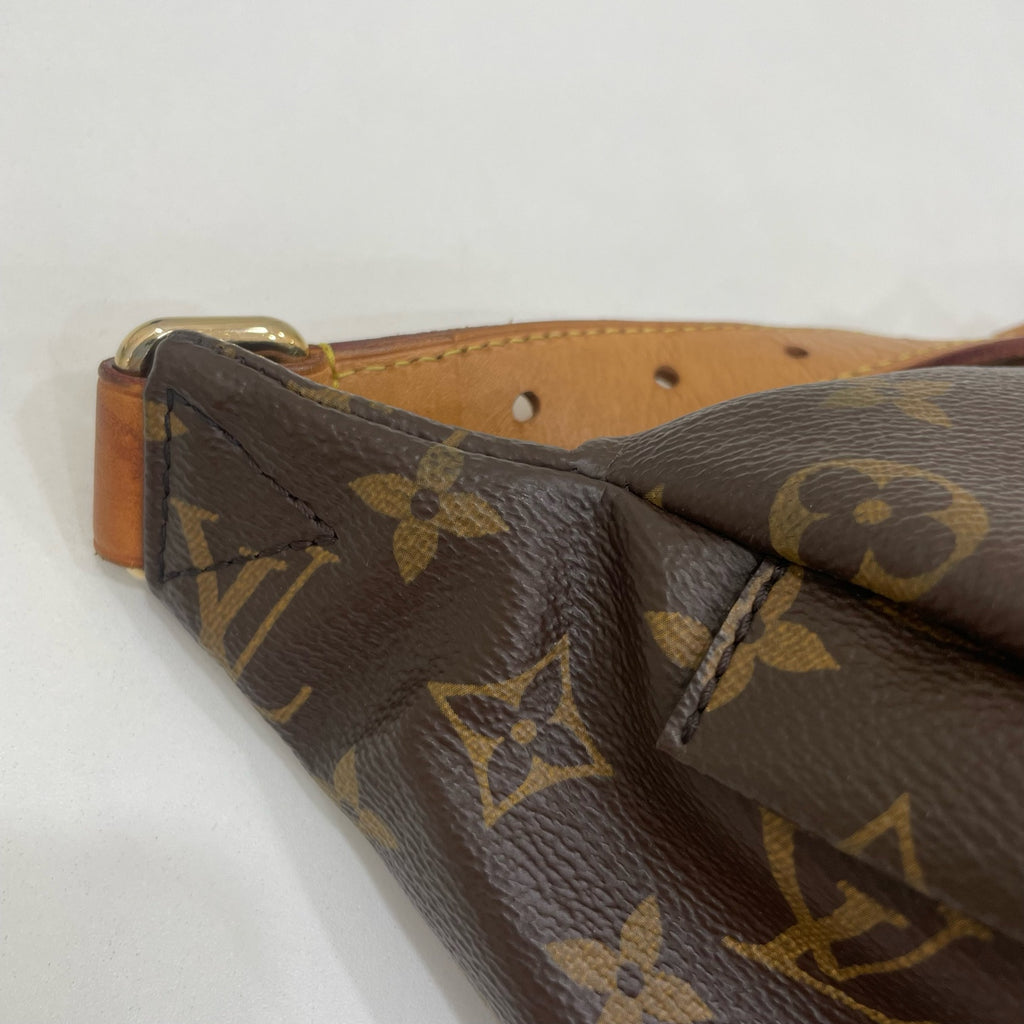 Louis Vuitton Belt Bag & Fanny Pack