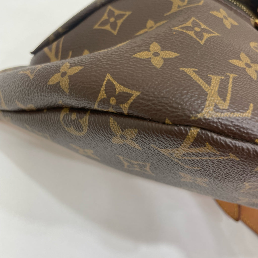 Louis Vuitton Belt Bag & Fanny Pack