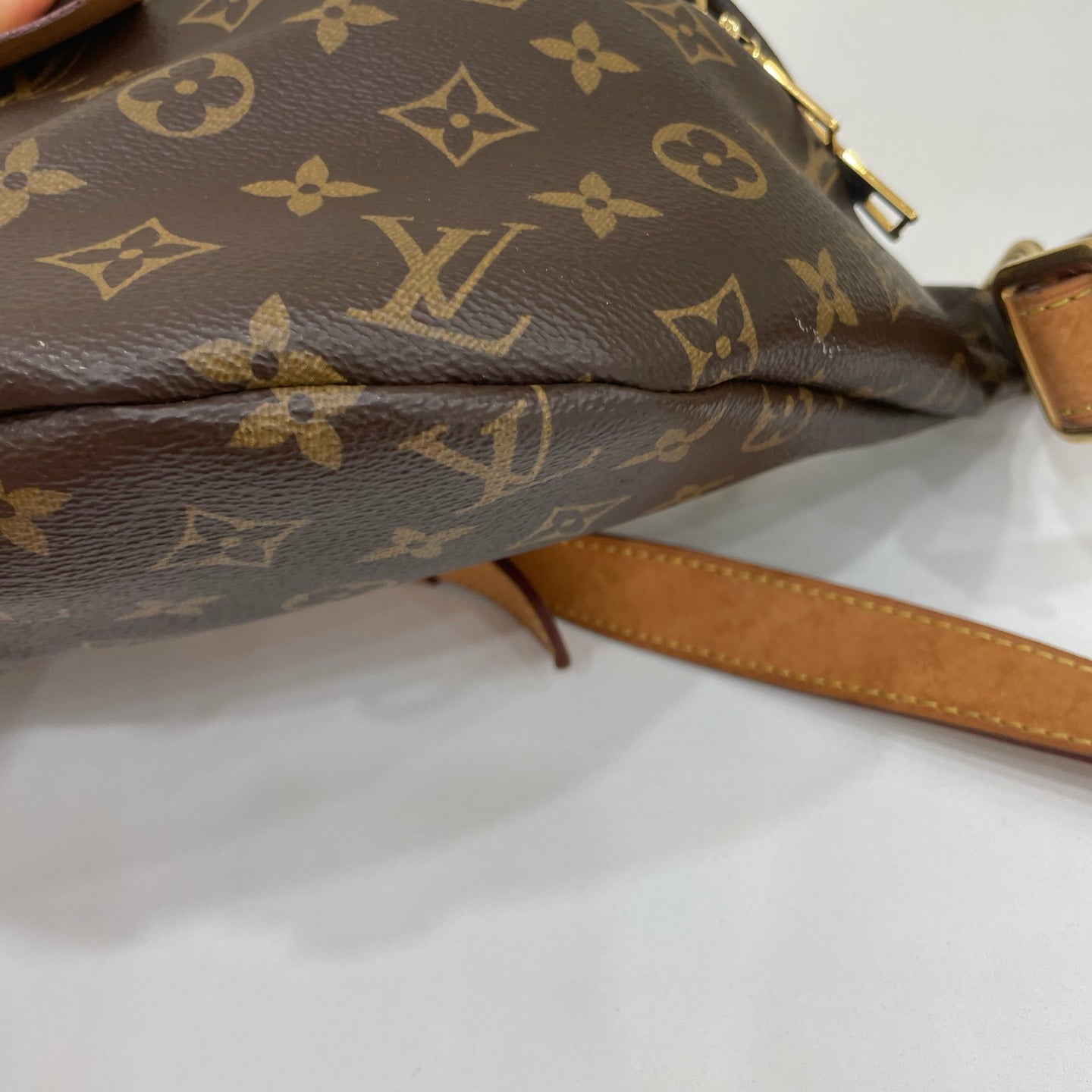 Louis Vuitton Belt Bag & Fanny Pack