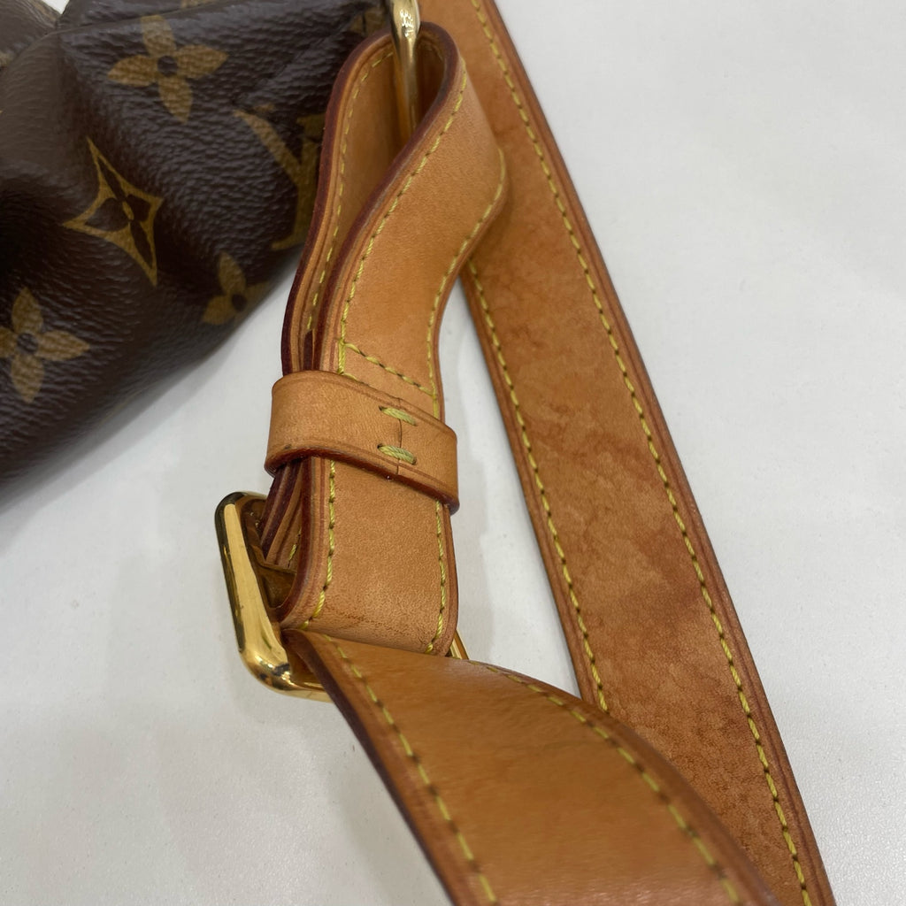 Louis Vuitton Belt Bag & Fanny Pack