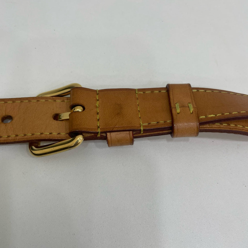 Louis Vuitton Belt Bag & Fanny Pack