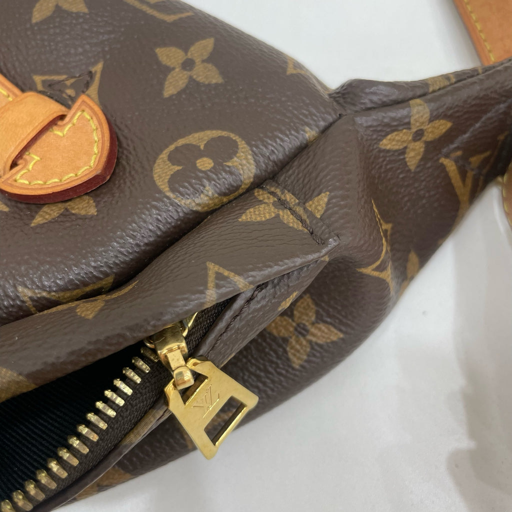 Louis Vuitton Belt Bag & Fanny Pack