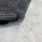 Dior Canvas Brown