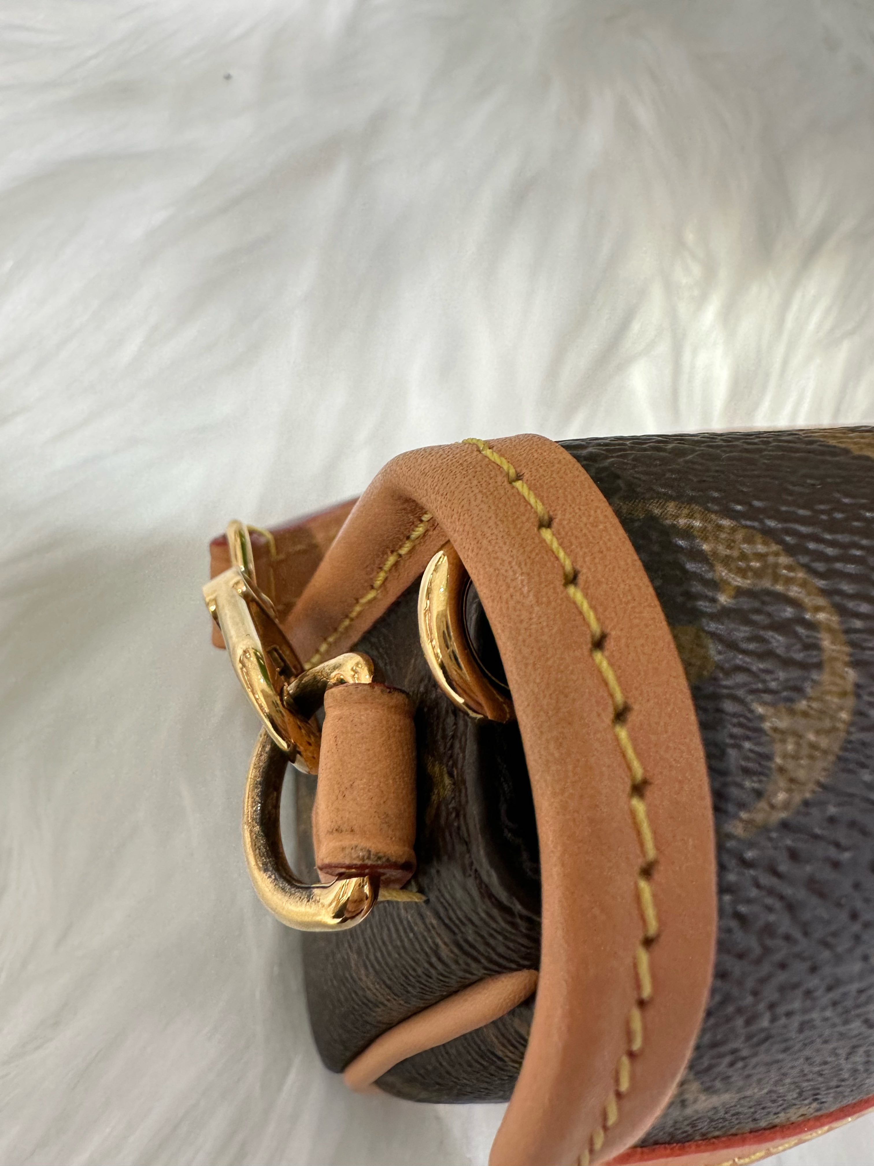 Louis Vuitton Satchel