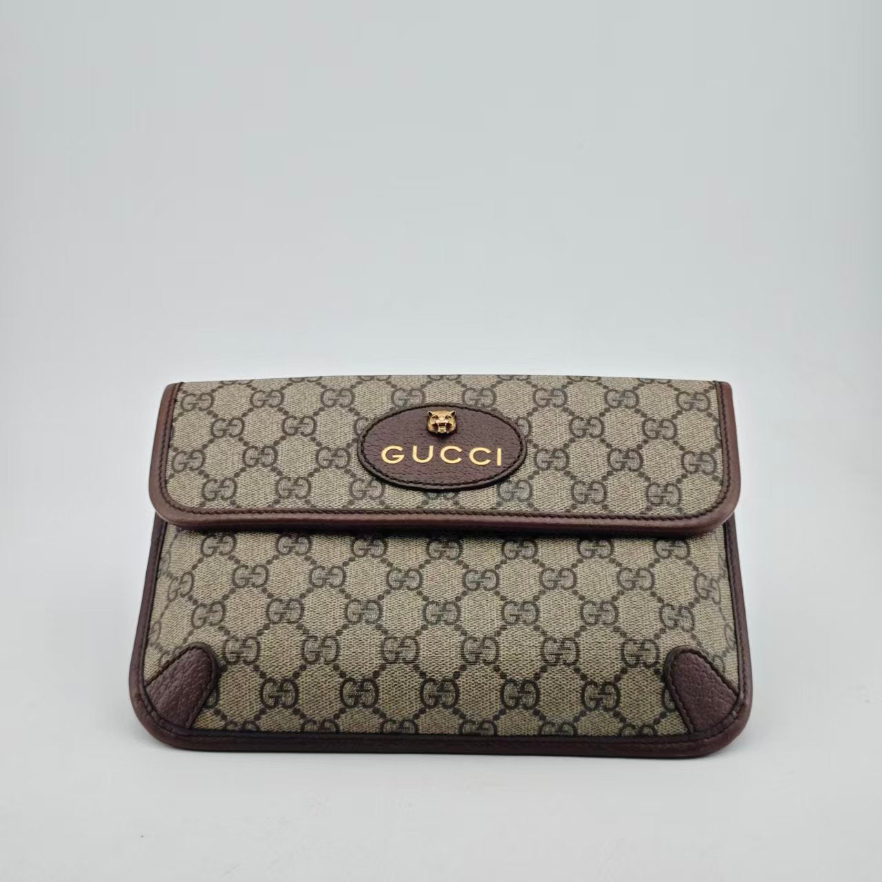 Gucci Leather Brown Belt Bag & Fanny Pack