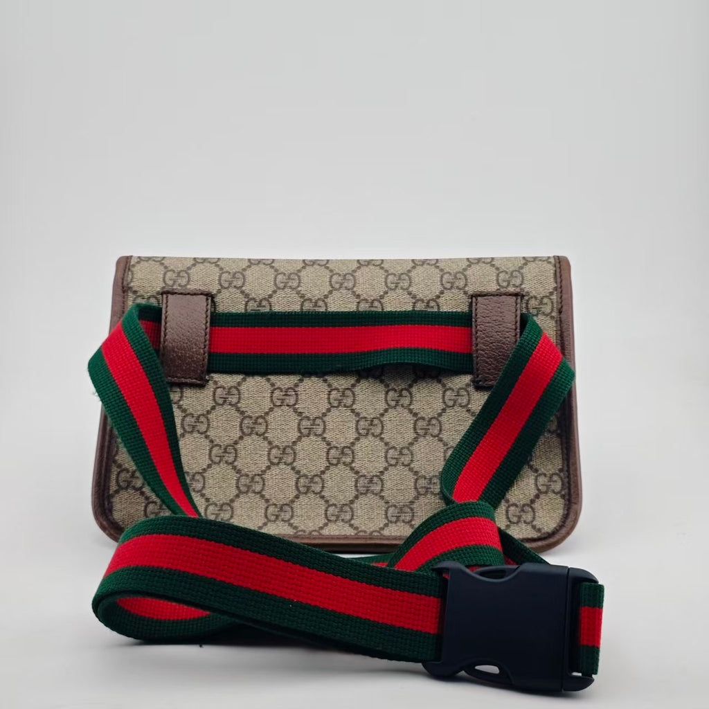 Gucci Leather Brown Belt Bag & Fanny Pack