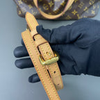 Louis Vuitton Gold Crossbody