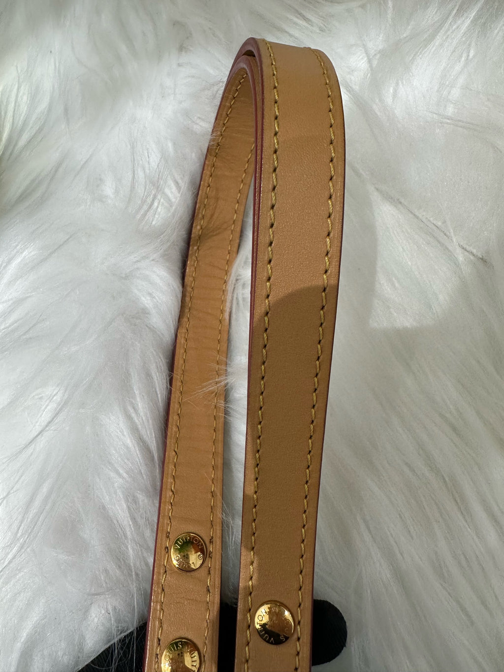 Louis Vuitton Crossbody