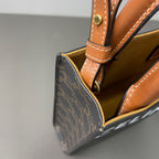 Celine Satchel