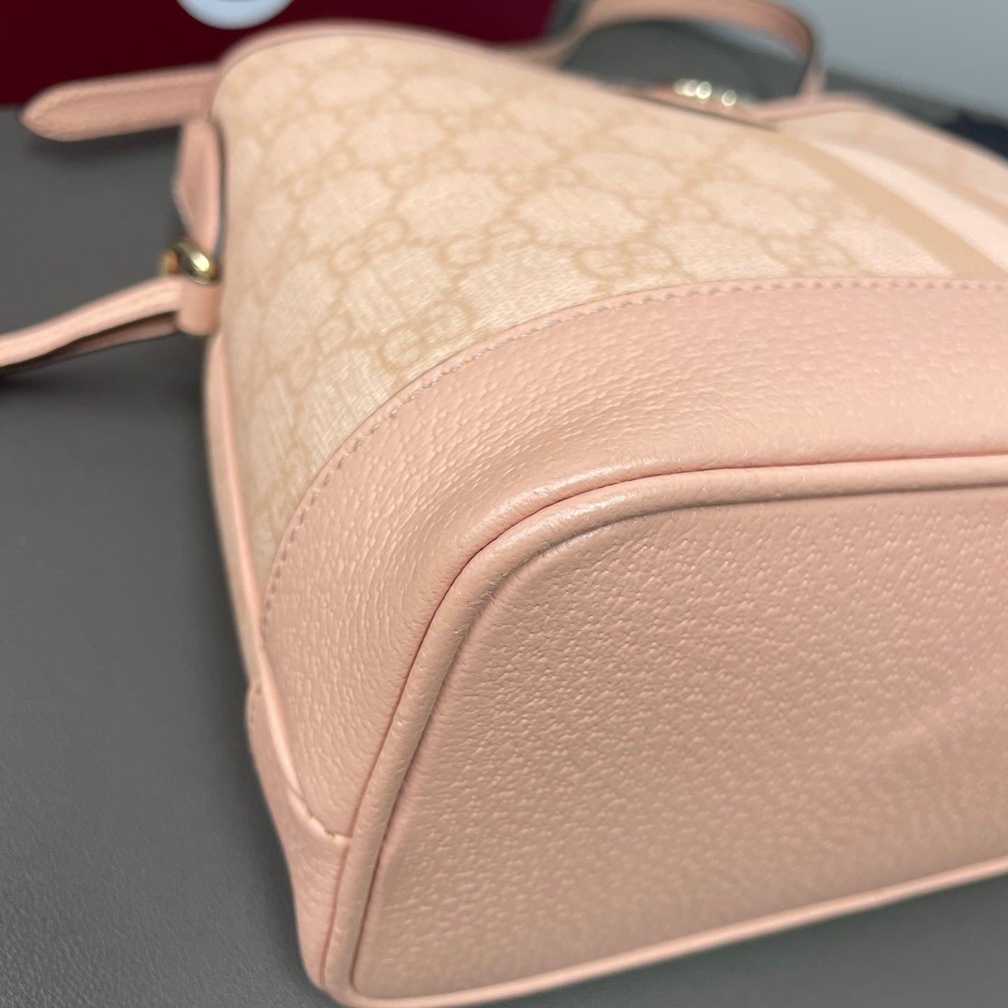 Gucci Canvas Pink Bucket & Drawstring Bag