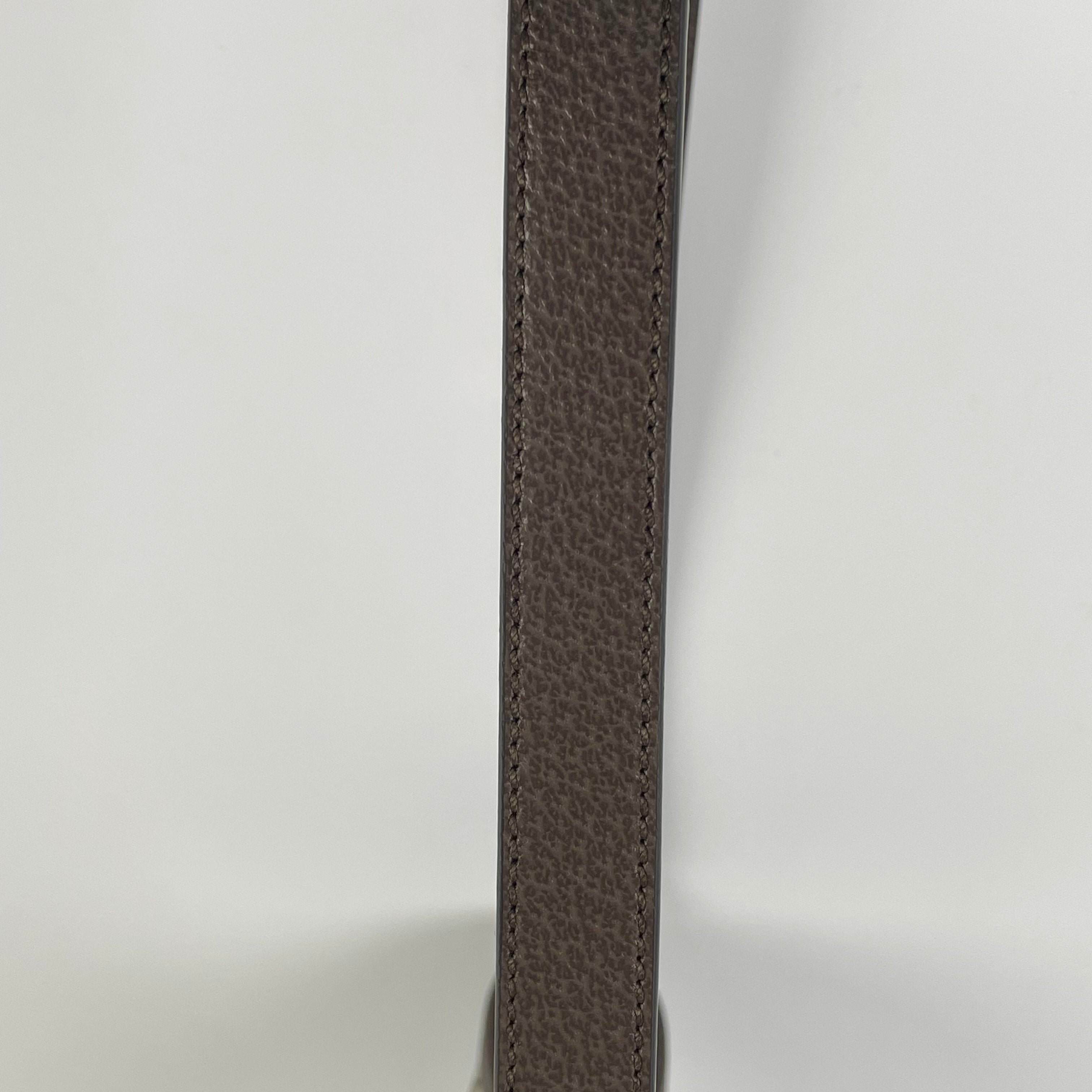 Gucci Ophidia Collection Small Shoulder Bag Canvas Shoulder Bag 836872FAE0K9853