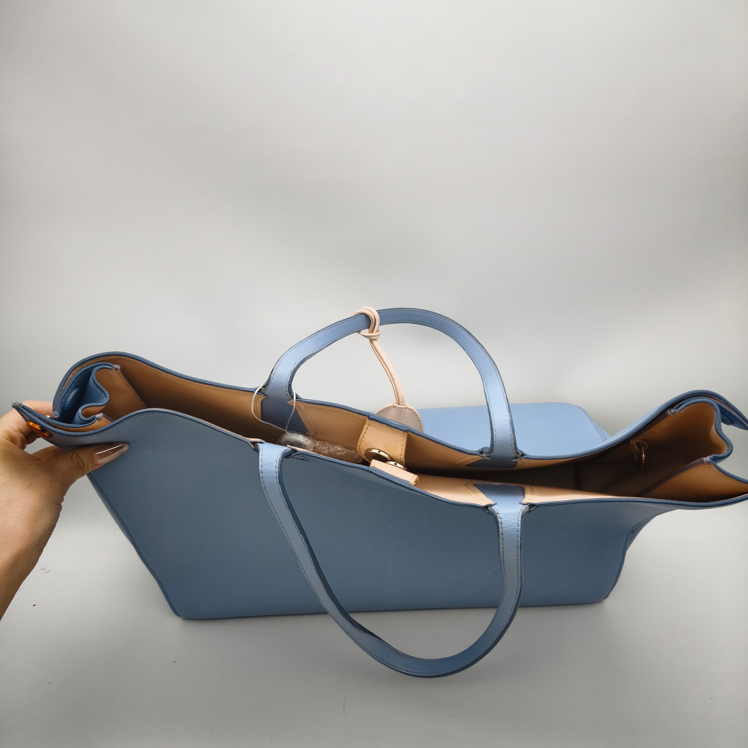 Dior Blue Tote