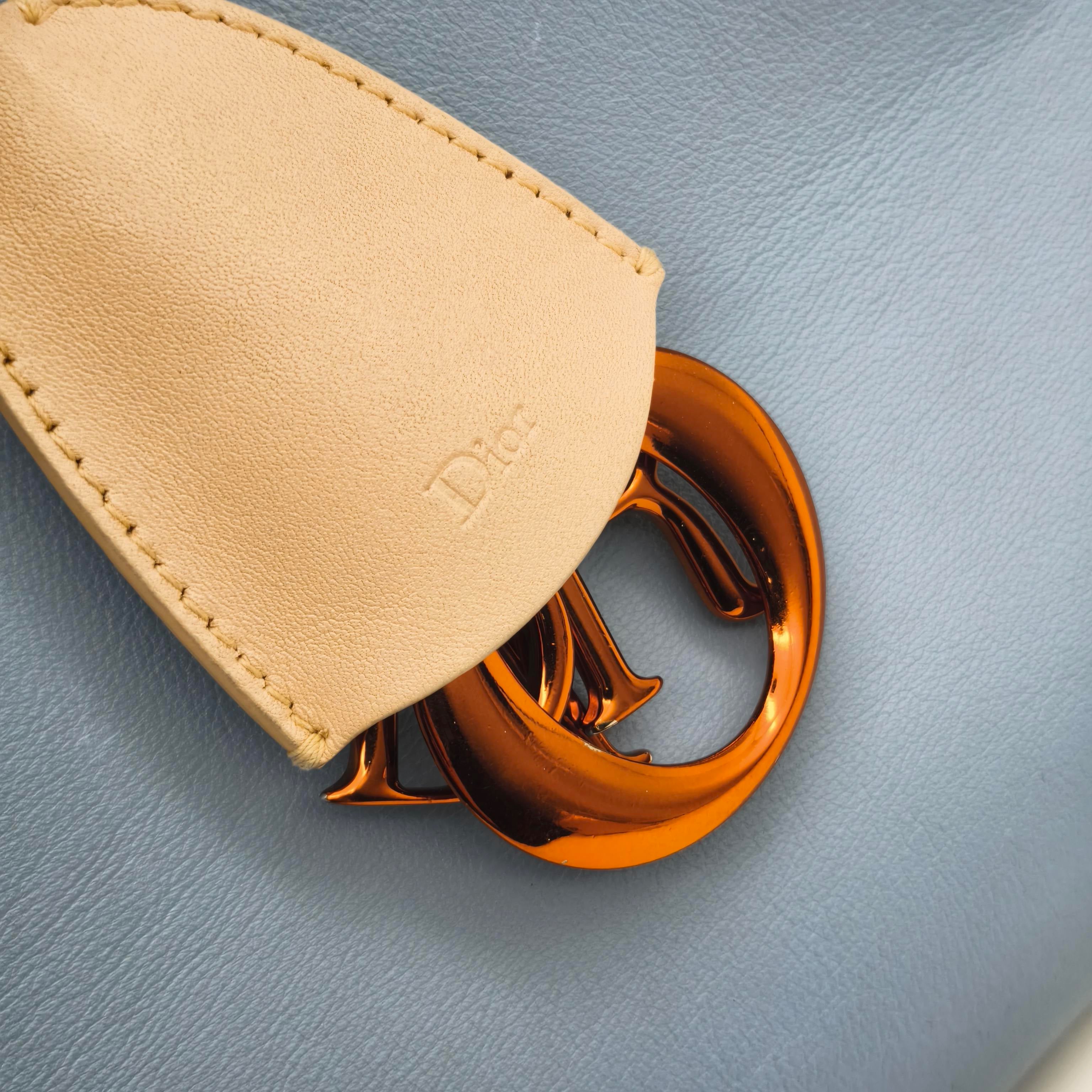 Dior Blue Tote