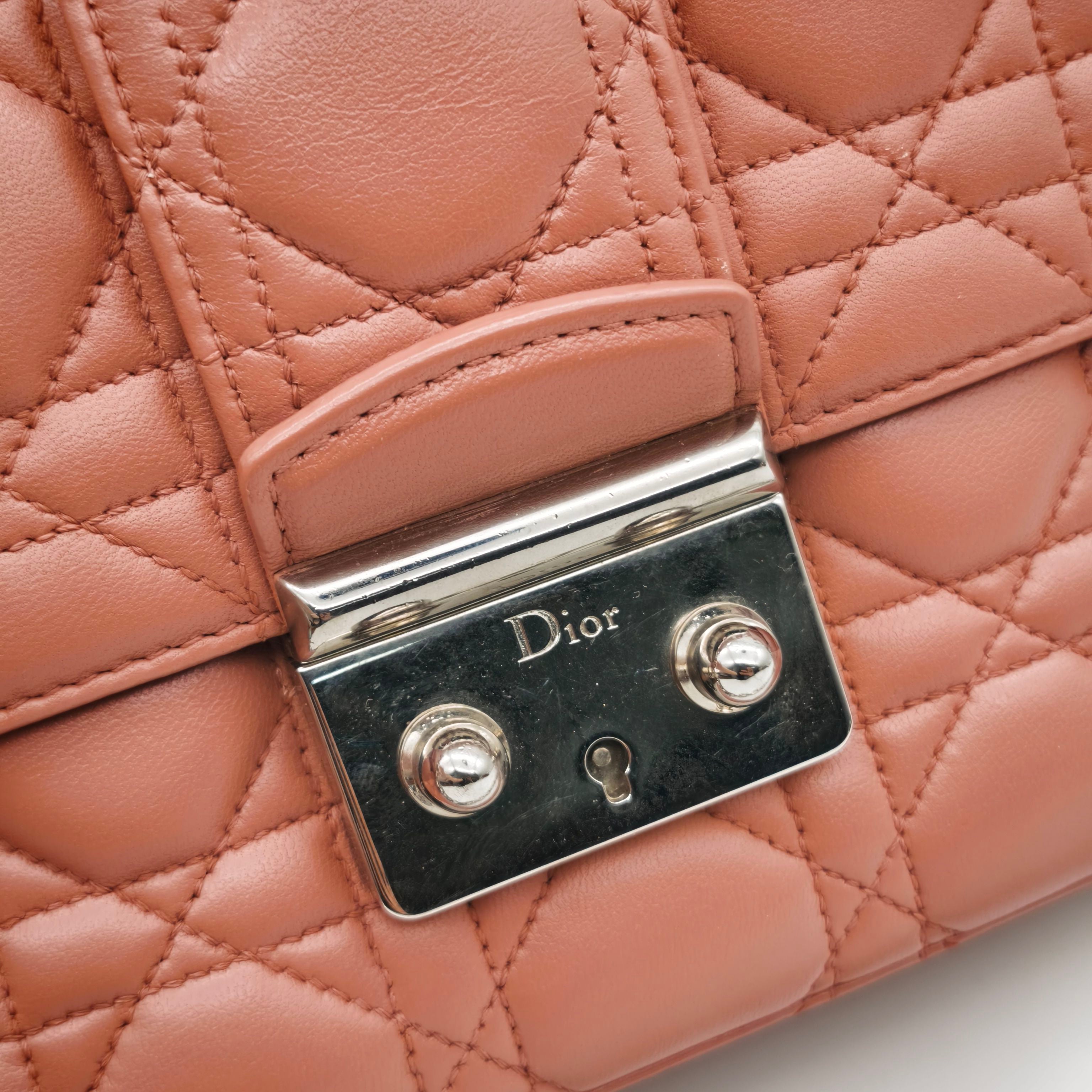 Dior Leather Pink