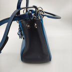 Dior Blue Satchel