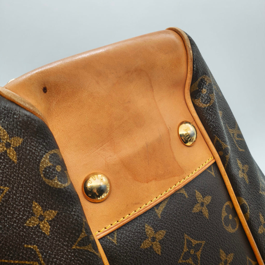 Louis Vuitton Shoulder Bag