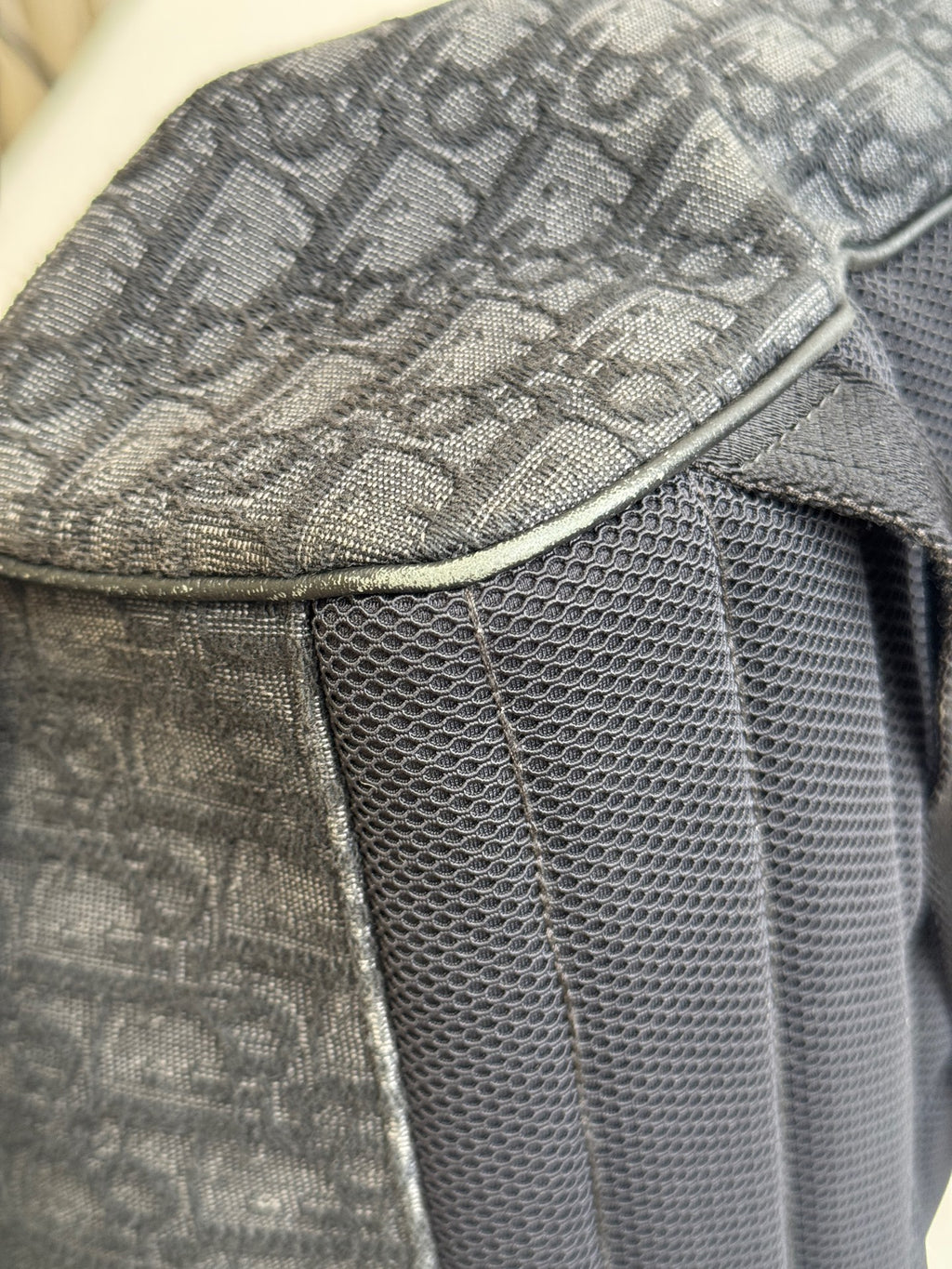 Dior Backpack