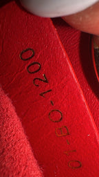 Dior Red Crossbody