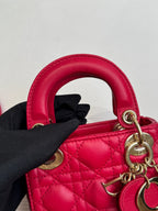 Dior Red Crossbody