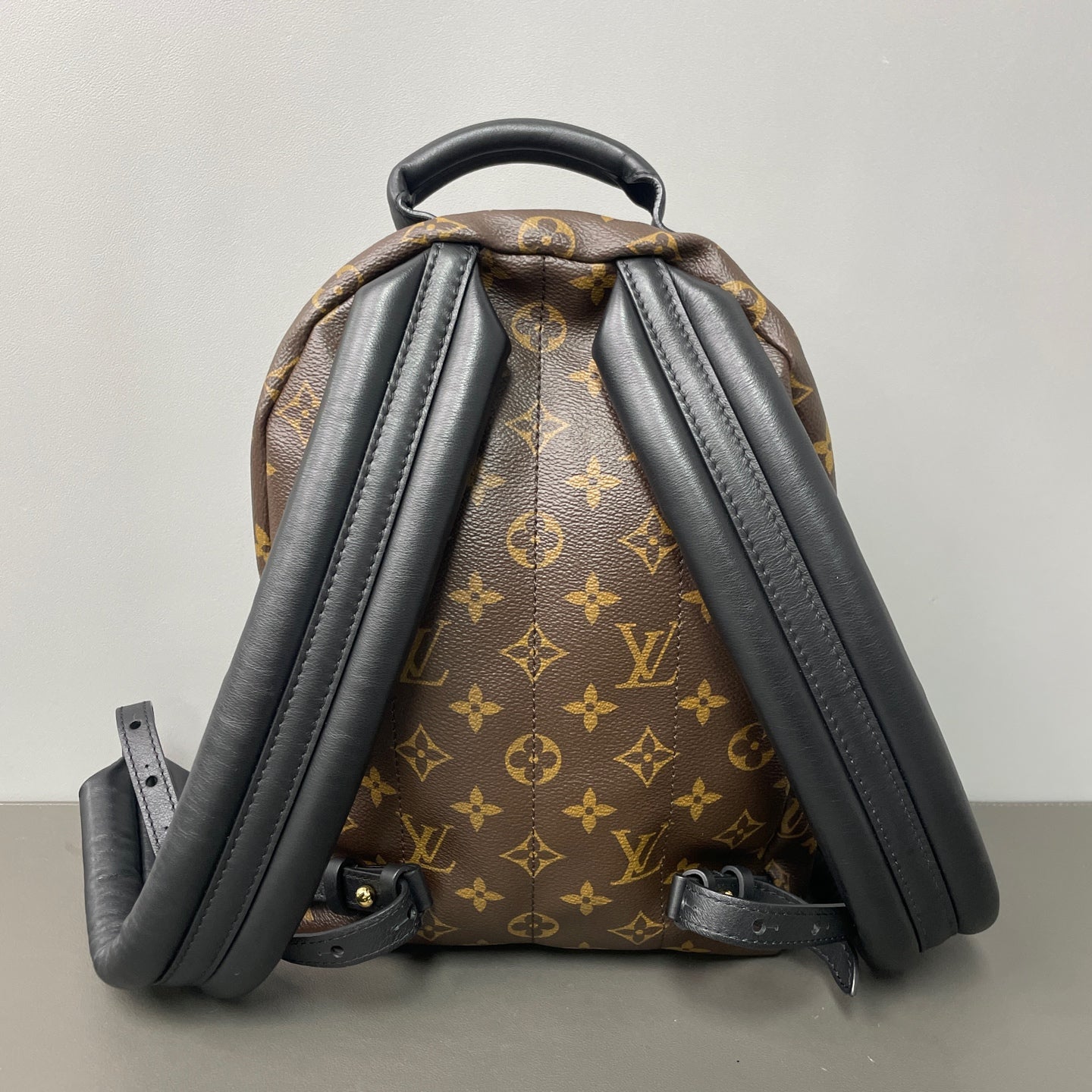 Louis Vuitton Backpack