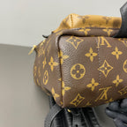 Louis Vuitton Backpack
