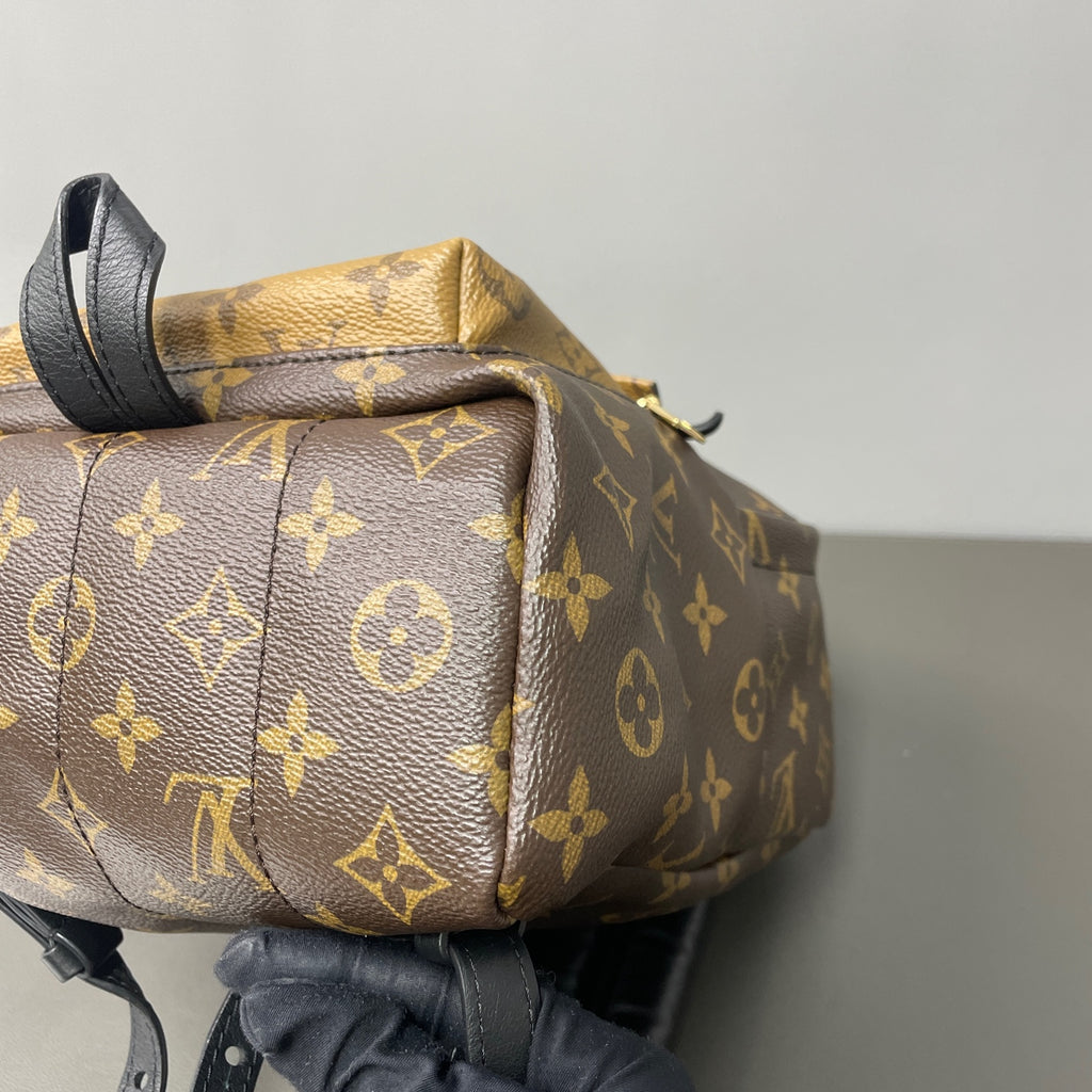 Louis Vuitton Backpack