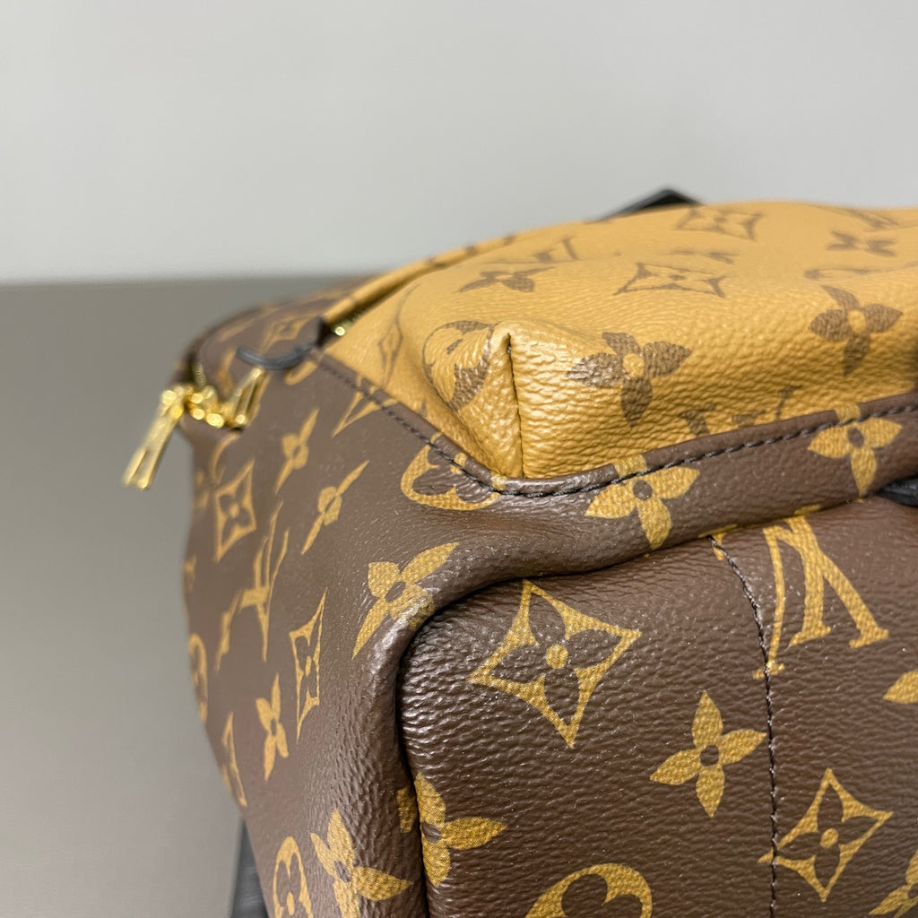 Louis Vuitton Backpack