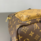 Louis Vuitton Backpack