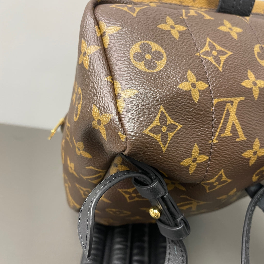 Louis Vuitton Backpack