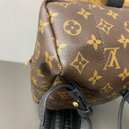Louis Vuitton Backpack