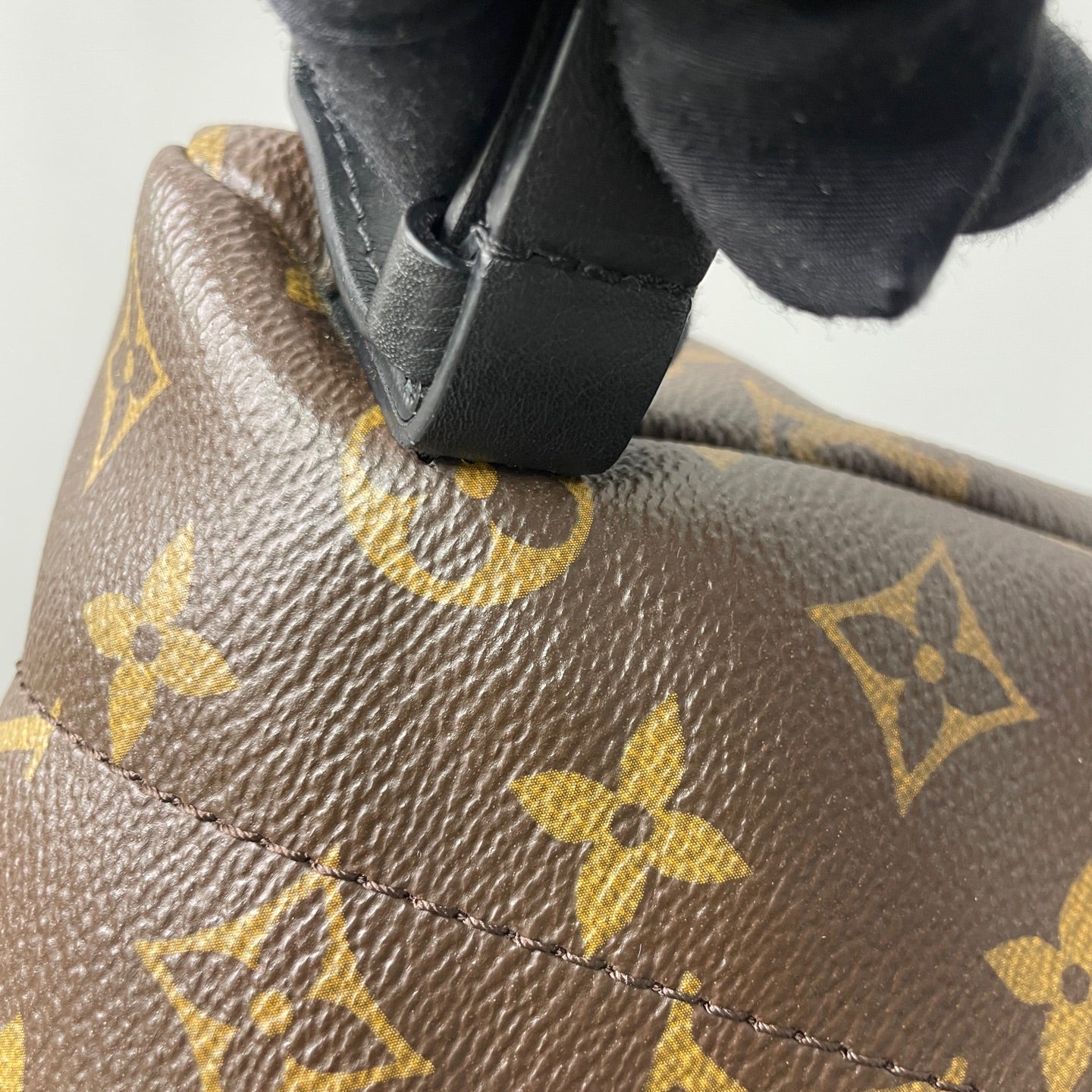 Louis Vuitton Backpack