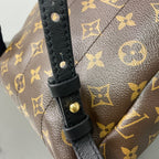 Louis Vuitton Backpack