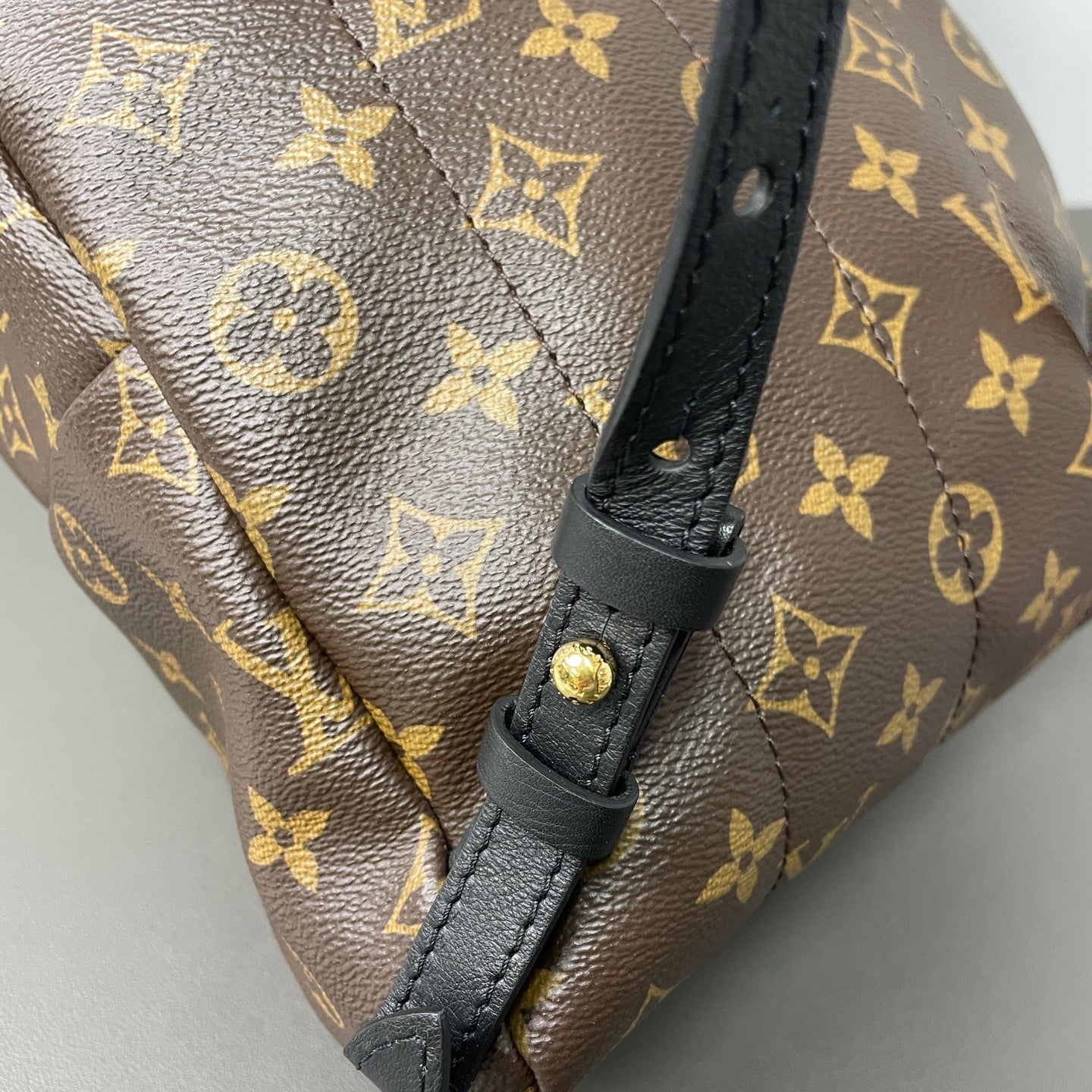 Louis Vuitton Backpack