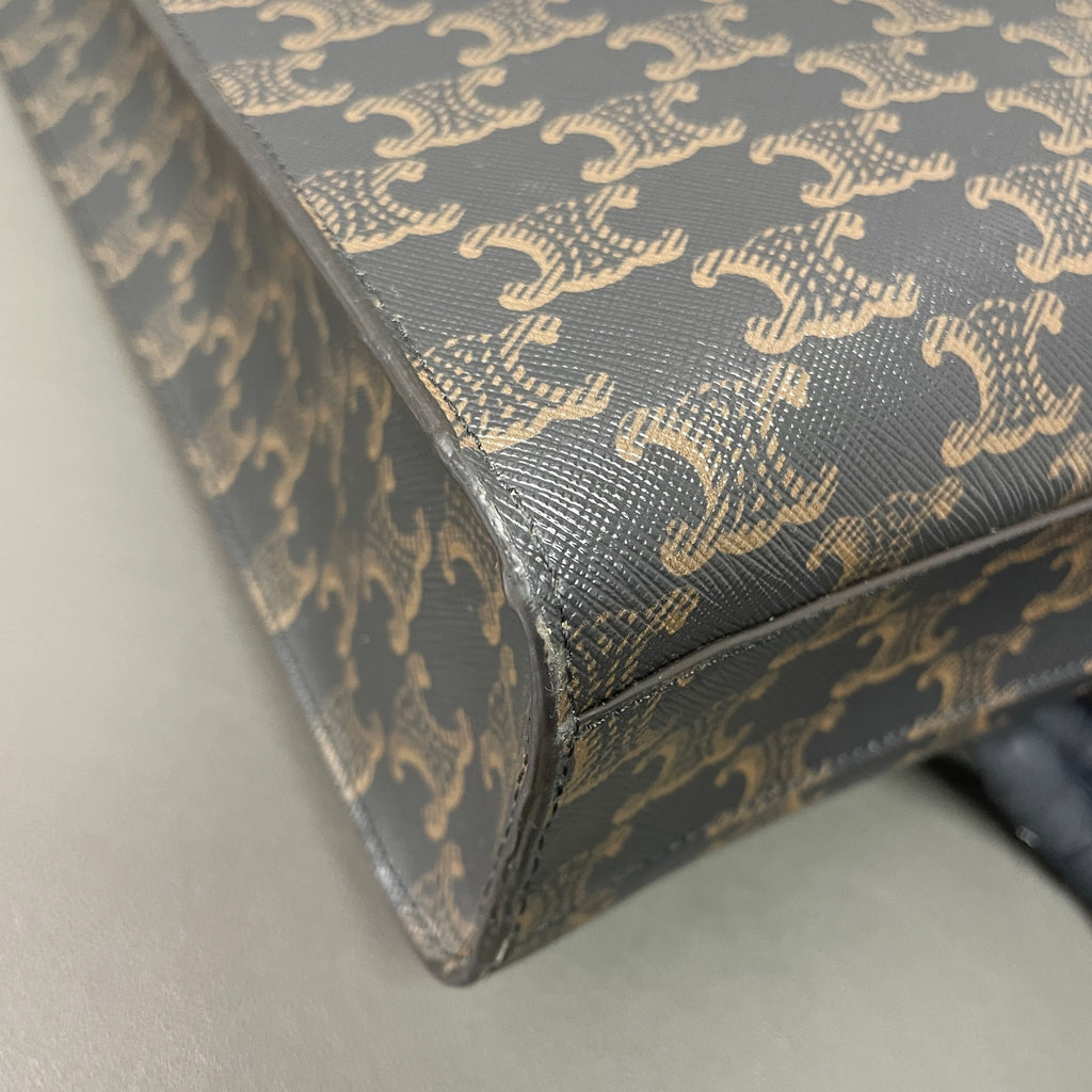 Celine Crossbody