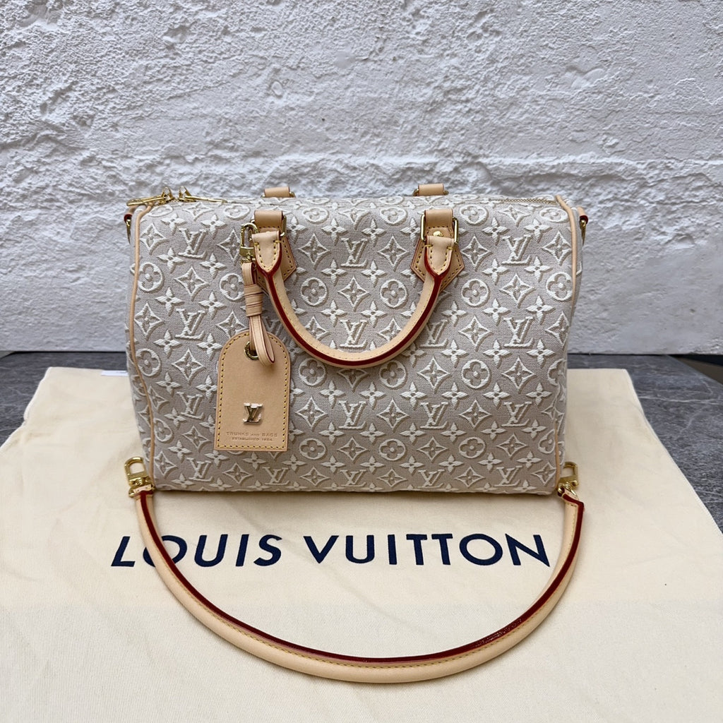 Louis Vuitton Gray