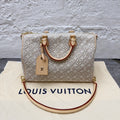 Louis Vuitton Gray