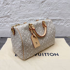 Louis Vuitton Gray