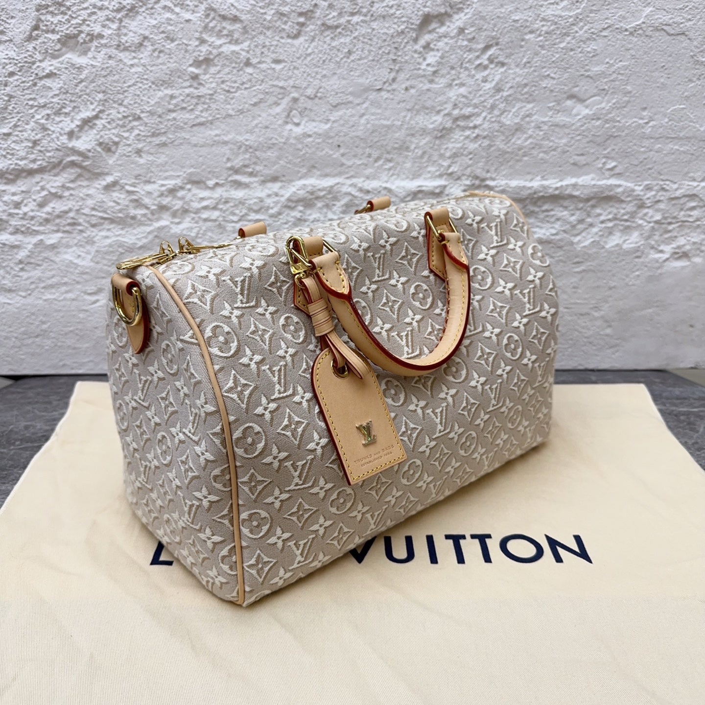 Louis Vuitton Gray