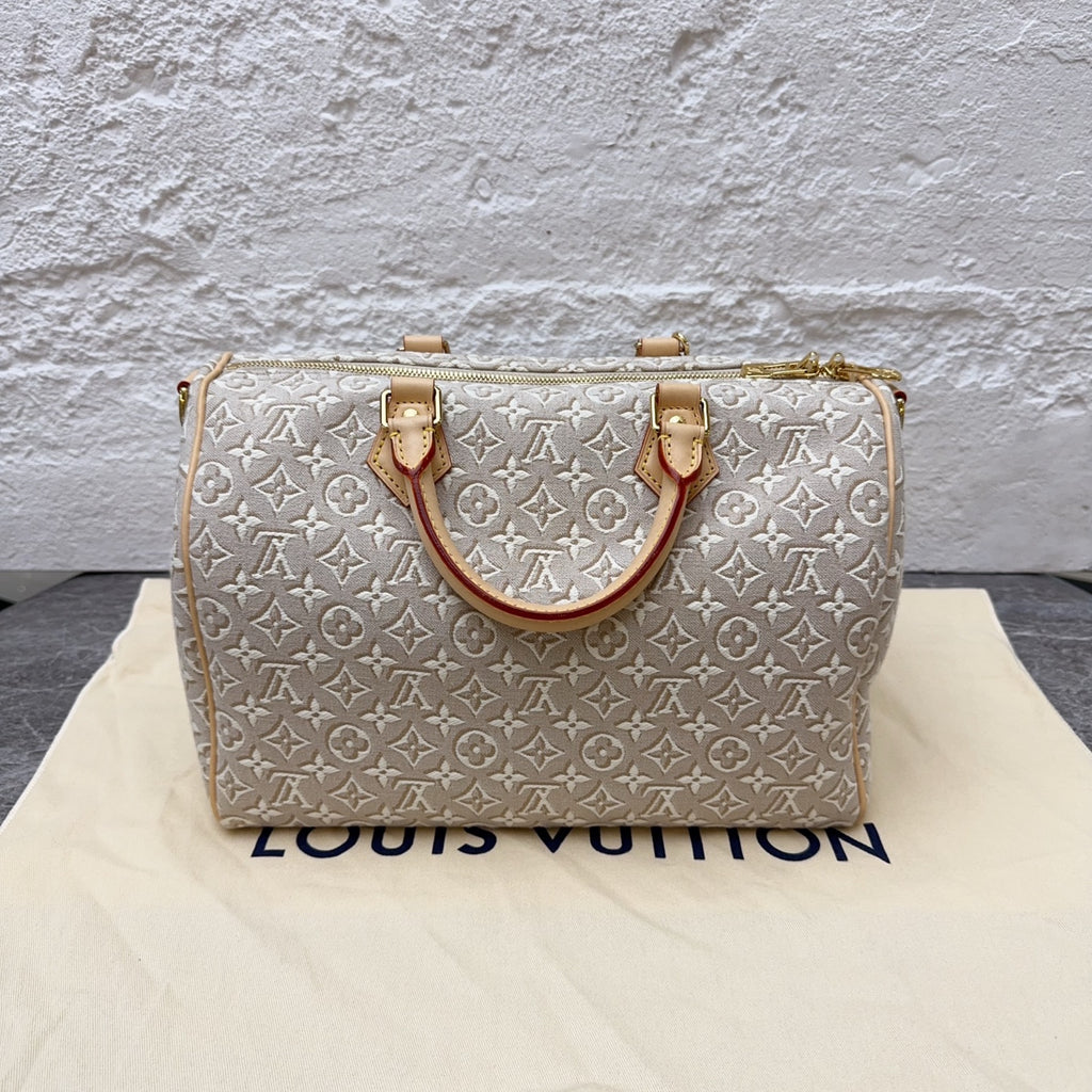 Louis Vuitton Gray