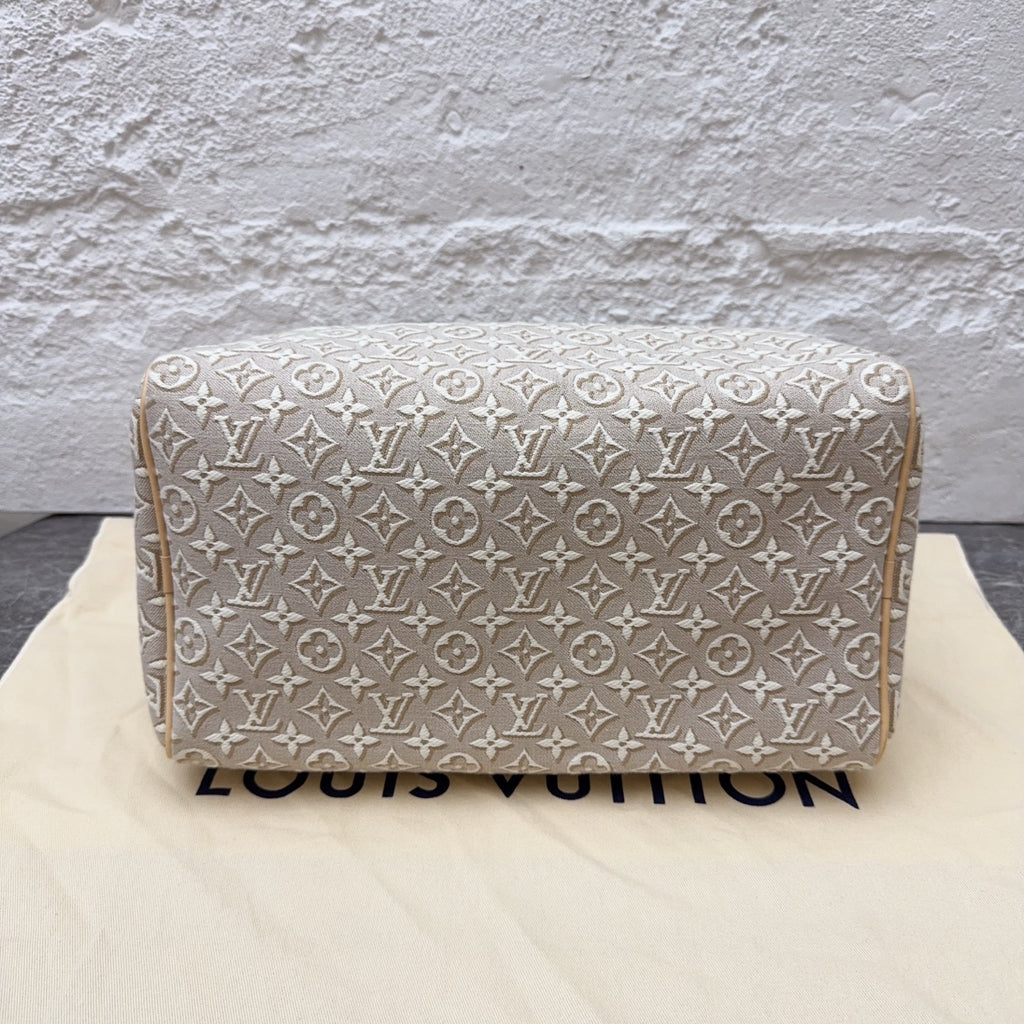 Louis Vuitton Gray