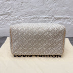 Louis Vuitton Gray
