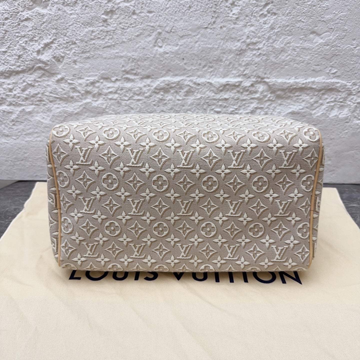 Louis Vuitton Gray