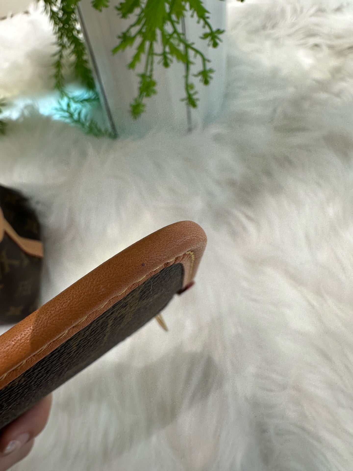 Louis Vuitton Crossbody